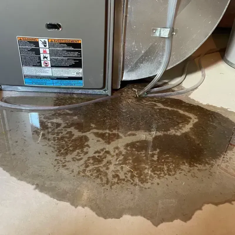 Appliance Leak Cleanup in Cherry Valley, CA